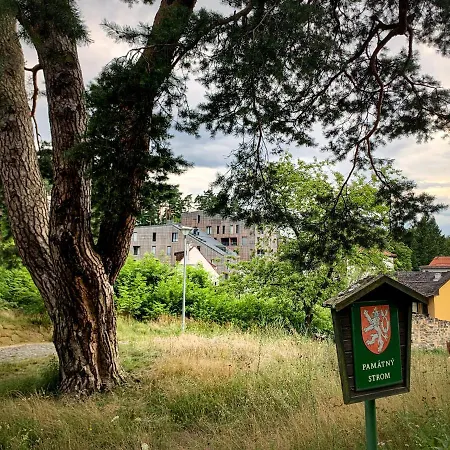 Jezerni S Terasou A Saunou V Lakepark
